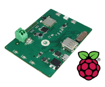 Raspberry Pi Board