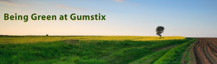 environmental policy of gumstix